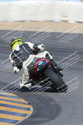 media/Feb-04-2023-SoCal Trackdays (Sat) [[8a776bf2c3]]/Turn 10 Backside (1010am)/